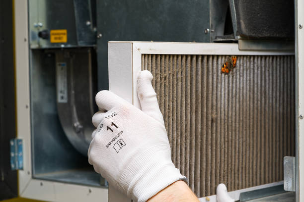Best Air Duct Cleaning Near Me  in Danville, IA
